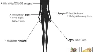 New Product Development of a Premenstrual Syndrome Supplement, Focusing on the Nutraceutical ctive Ingredients; Pycnogenol, Lemon Balm, Ginger, and Saffron