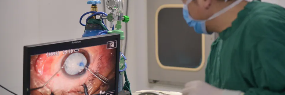 Pulmonary Resection Morbidity and Mortality Factors