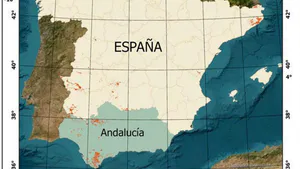 Current Contributions on Cork Production and the Fight against Forest Decline in Andalusia (Southern Spain)