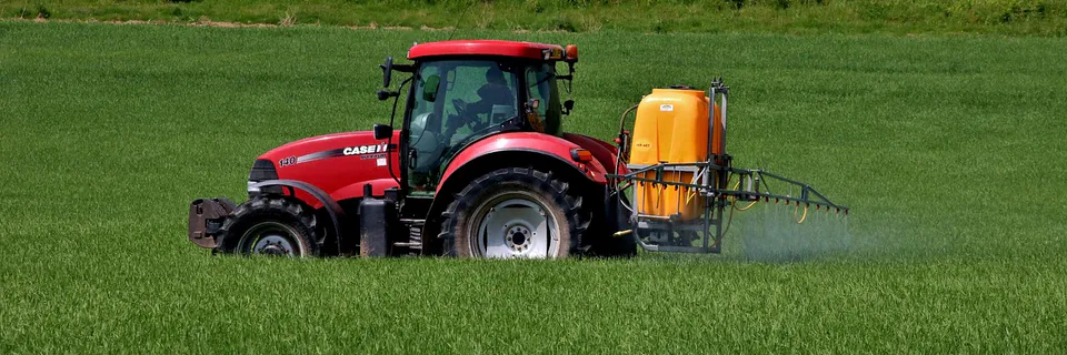 Cypermethrin: Mechanism and Male Reproductive Toxicity