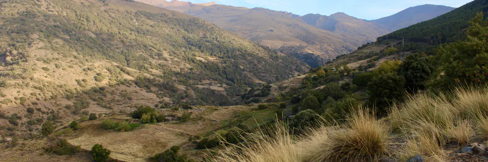 Educational Practice in the Sierra Tarahumara: Challenges and Expectations before the New Mexican School