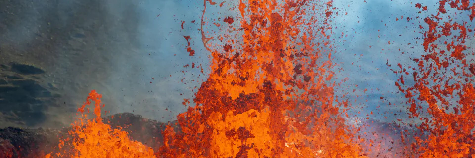 The Origin of Life on Earth: An Economic Interpretation