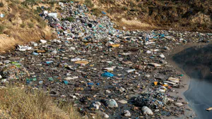 Health Risk Linked to the Consumption of Fish from Lake Tshangalele in the Sout-East of the Democratic Republic of Congo