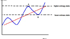 Entropy Change in Management, Ecology and Sociology