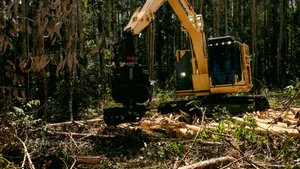 Cost of Sustainable Timber Forest Management in the State of Acre, Brazilian Amazon