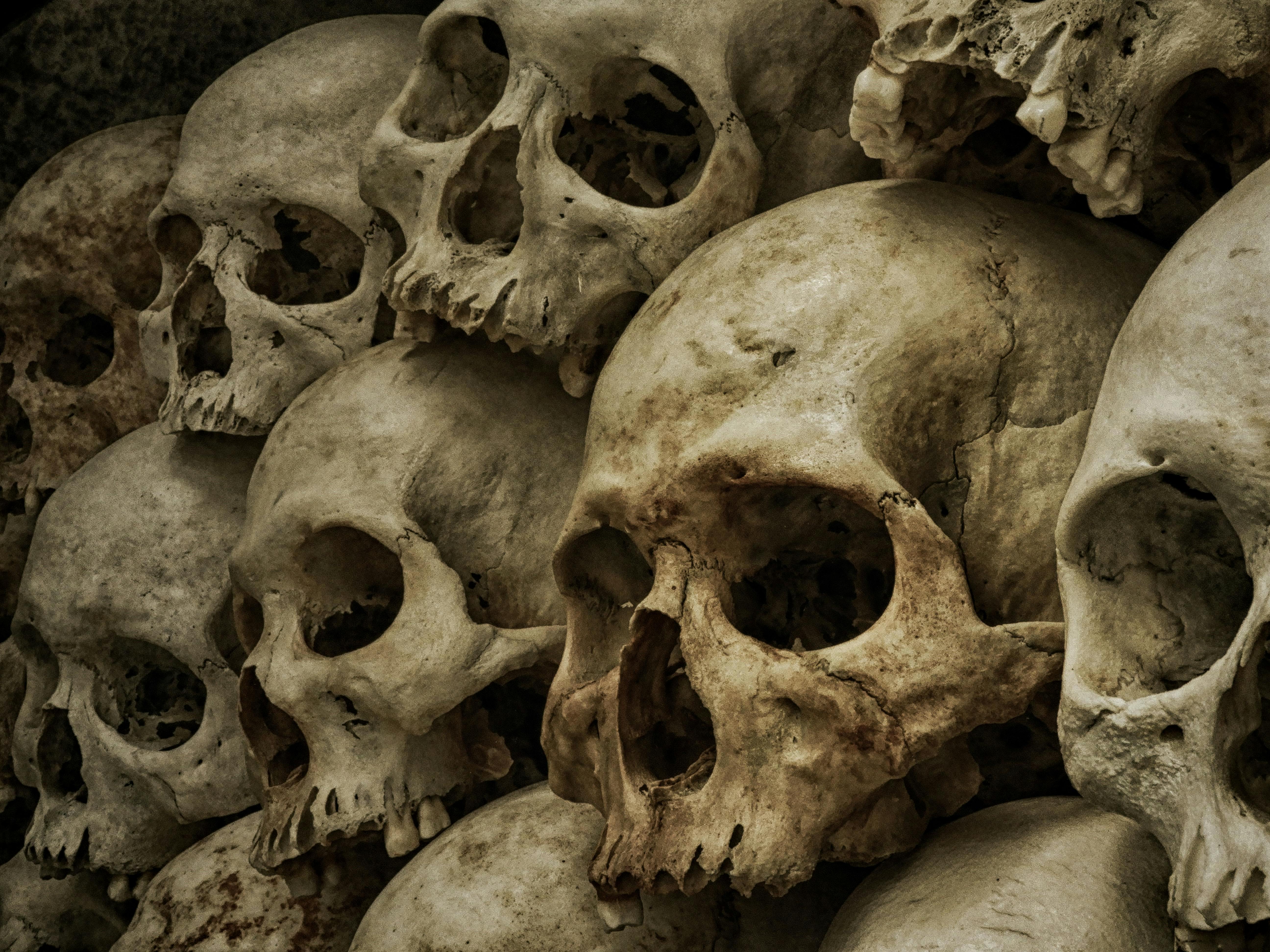 Life and Death Statistical Constraints: A Conjecture on Mortality