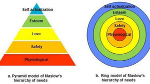 A New Model of Human Needs