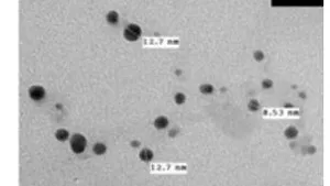Electrode Process with DC High Voltage and Electrochemical Plasma for Synthesis of Nanoparticle Solution and Wastewater Treatment