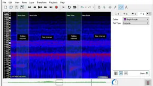 Classification of Acoustic Data with Transformer Model