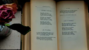 Lyrical Poetry of Nikola Milićević – Opus and Microstructures