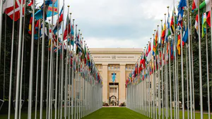 Deglobalization, Multilateralism, and the Limits of Global Human Rights Governance: The Brazilian Case