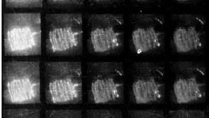 Peculiarities of Electrodynamic Processes During Electric Explosion of Spiral Wires