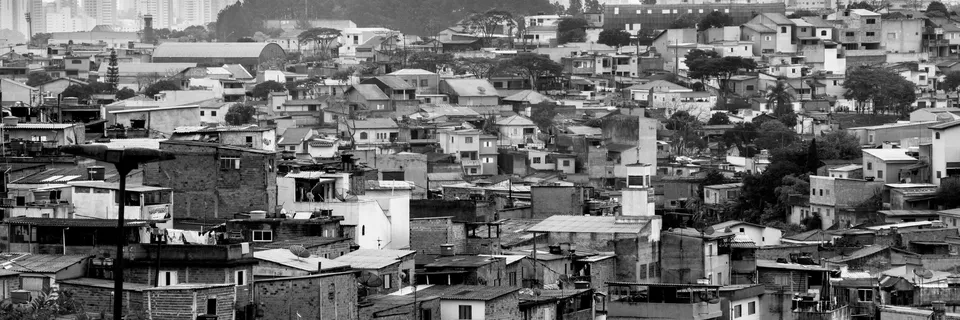 Causes and Consequences of School Dropout in Brazil