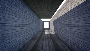 The Anamorphosis Verse: A Meta-Space Framework for Understanding Perspective Transformations in Digital Visual Realms