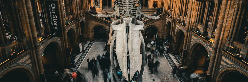 Science Capital and Science Museums: Review of a CIMUSET session in the General Conference of ICOM 2022