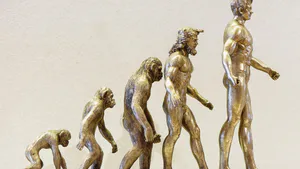Education beyond a Human Capital Perspective