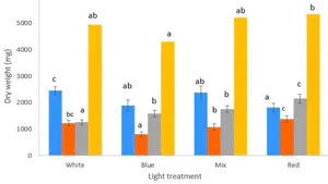 Influence of LEDs on Ligth Compensation Point of L. Solanum Tuberosum Aeroponic Plantlets