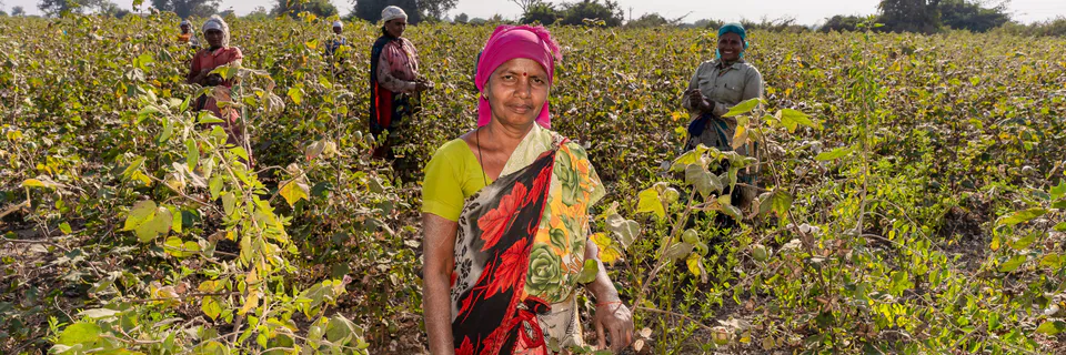 Food Insecurity and Worker Productivity in South Sudan