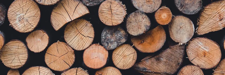 Market Concentration of Timber in Acre, 2018-2020