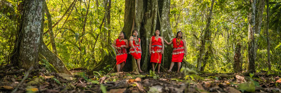 Territorial Amazonian Psychology Foundations